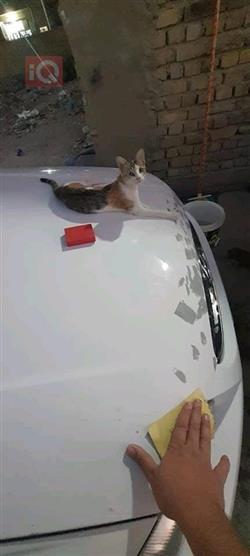 هيونداي فيرنا